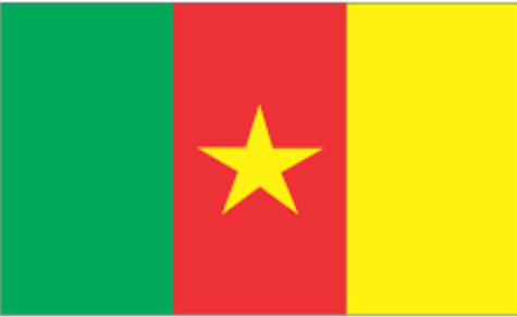 Country Flag